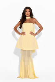 AURELIA Mesh Maxi Skirt