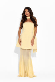 AURELIA Mesh Maxi Skirt